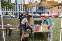 images/series/wijkfestival-oost-2025/2025-Wijkfestival-Oost 39.jpg